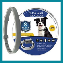Carregar imagem no visualizador da galeria, Coleira Anti Parasitas - 8 Meses
