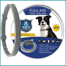 Carregar imagem no visualizador da galeria, Coleira Anti Parasitas - 8 Meses