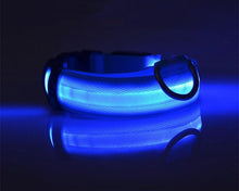 Carregar imagem no visualizador da galeria, Coleira Noturna - Todos os Tamanhos