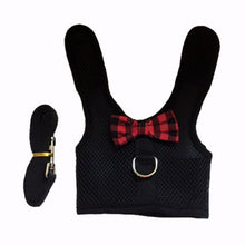 Carregar imagem no visualizador da galeria, Colete e Trela para Coelho