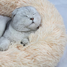 Carregar imagem no visualizador da galeria, Cama para Gato Confort