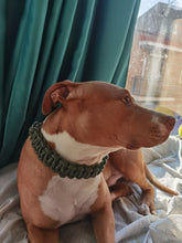 Carregar imagem no visualizador da galeria, Coleira Premium - Alta Qualidade