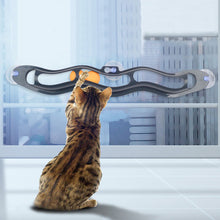 Carregar imagem no visualizador da galeria, Promotor de Agilidade para Gato