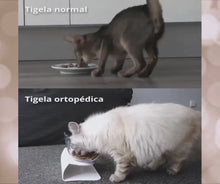 Carregar e reproduzir vídeo no visualizador da Galeria, Tigela Medicinal para Gato
