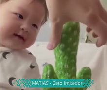 Carregar e reproduzir vídeo no visualizador da Galeria, MATIAS - Cato Imitador
