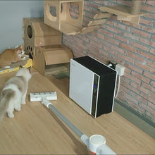 Carregar e reproduzir vídeo no visualizador da Galeria, Laser LED para Gato
