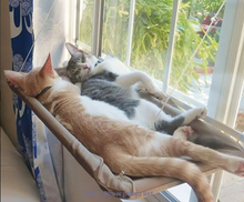 Carregar imagem no visualizador da galeria, Cama de Gato em Altura

