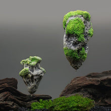 Carregar imagem no visualizador da galeria, Aquário-Rochas Flutuantes
