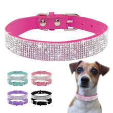 Carregar imagem no visualizador da galeria, Coleira Premium para Cão de Porte Pequeno
