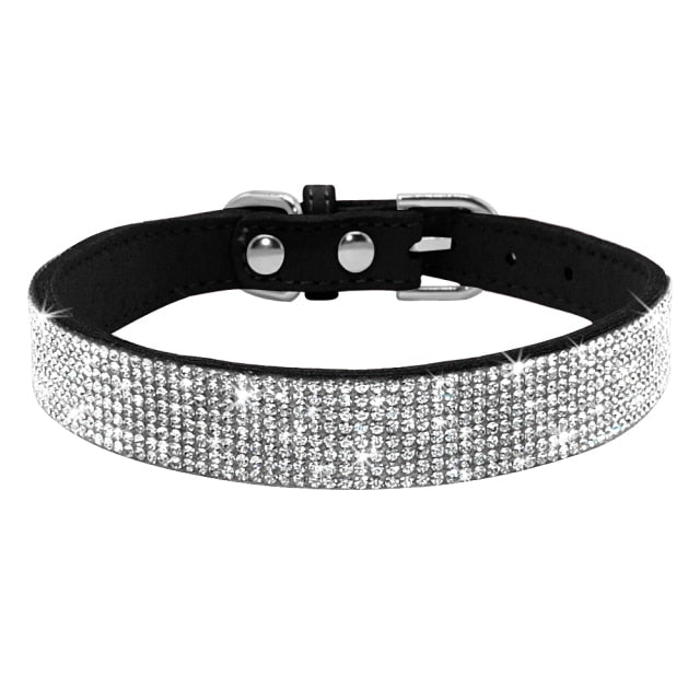 Coleira Premium para Cão de Porte Pequeno