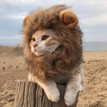 Carregar imagem no visualizador da galeria, Gato Leão
