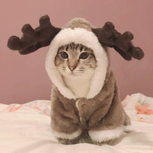 Carregar imagem no visualizador da galeria, Gato Rena - Inverno
