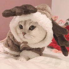Carregar imagem no visualizador da galeria, Gato Rena - Inverno
