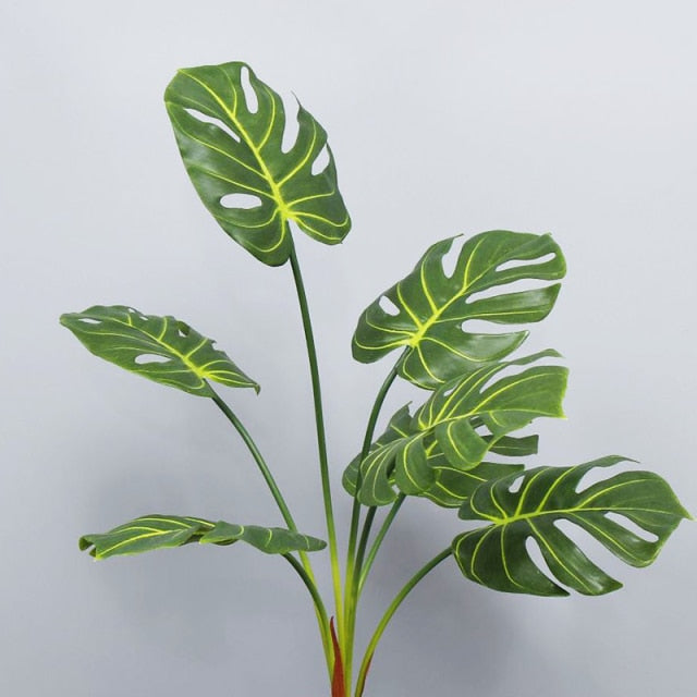 Palmeira para Decoração