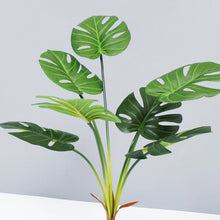 Carregar imagem no visualizador da galeria, Palmeira para Decoração
