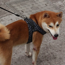 Carregar imagem no visualizador da galeria, Colete para Cão - Porte Pequeno/Médio

