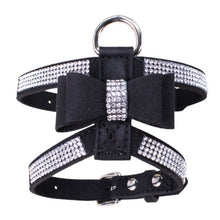 Carregar imagem no visualizador da galeria, Colete Premium para Cão de Porte Pequeno
