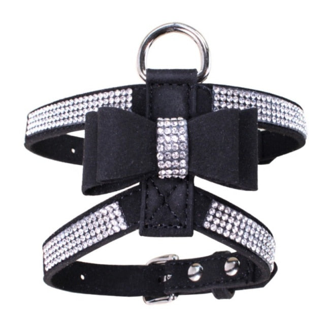 Colete Premium para Cão de Porte Pequeno