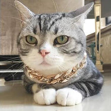 Carregar imagem no visualizador da galeria, Coleira Gato BOSS
