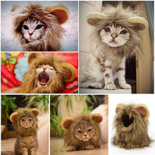 Carregar imagem no visualizador da galeria, Gato Leão
