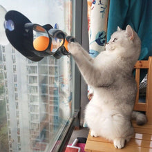 Carregar imagem no visualizador da galeria, Promotor de Agilidade para Gato
