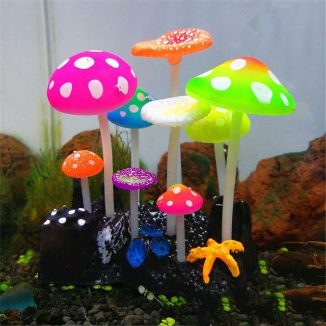 Aquário-Decoração Florescente