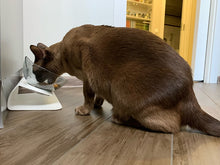 Carregar imagem no visualizador da galeria, Tigela Medicinal para Gato
