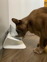 Carregar imagem no visualizador da galeria, Tigela Medicinal para Gato
