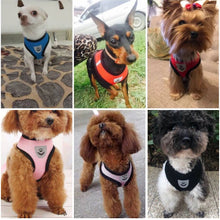 Carregar imagem no visualizador da galeria, Colete e Trela para Cão de Porte Pequeno
