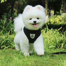 Carregar imagem no visualizador da galeria, Colete e Trela para Cão de Porte Pequeno
