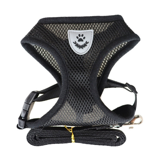Colete e Trela para Cão de Porte Pequeno