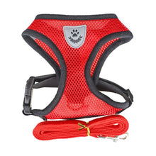 Carregar imagem no visualizador da galeria, Colete e Trela para Cão de Porte Pequeno

