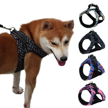 Carregar imagem no visualizador da galeria, Colete para Cão - Porte Pequeno/Médio
