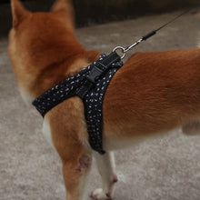 Carregar imagem no visualizador da galeria, Colete para Cão - Porte Pequeno/Médio
