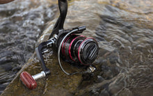 Carregar imagem no visualizador da galeria, Carreto Profissional RS-Speed
