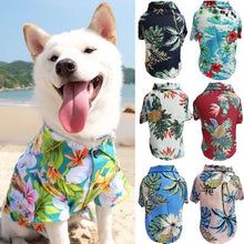Carregar imagem no visualizador da galeria, Camisa Havaiana para Cão
