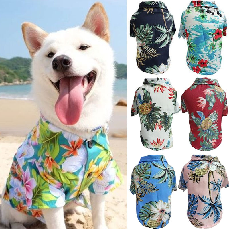 Camisa Havaiana para Cão