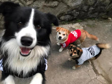 Carregar imagem no visualizador da galeria, Adidog-Roupa para Cão
