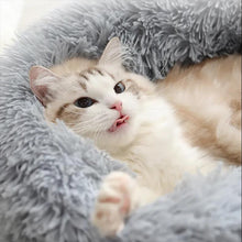 Carregar imagem no visualizador da galeria, Cama para Gato Confort
