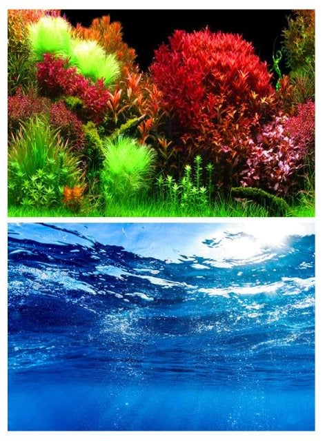 Aquário-Decoração de Fundo