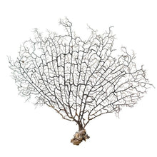 Carregar imagem no visualizador da galeria, Aquário - Decoração Coral Premium
