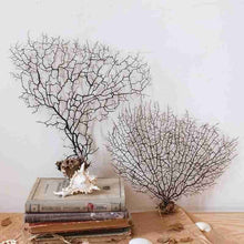 Carregar imagem no visualizador da galeria, Aquário - Decoração Coral Premium
