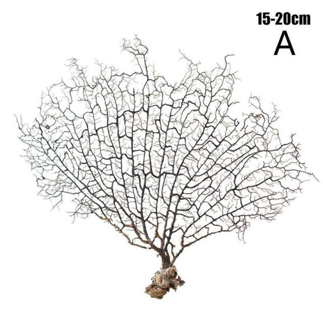 Aquário - Decoração Coral Premium